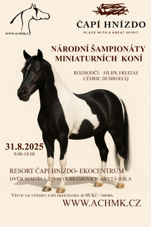 Národní šampionáty miniaturních koní  31.8.2025